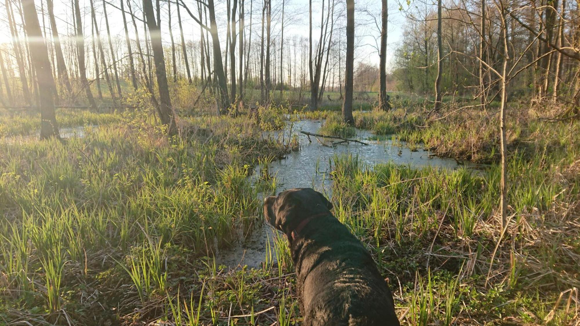 Willa Bobrowa Dolina Wojtostwo  Buitenkant foto